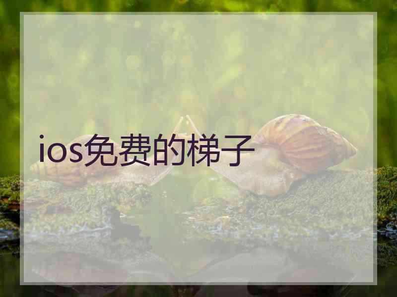 ios免费的梯子