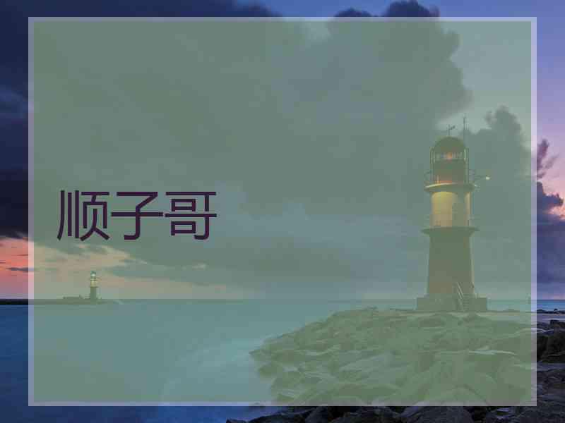顺子哥