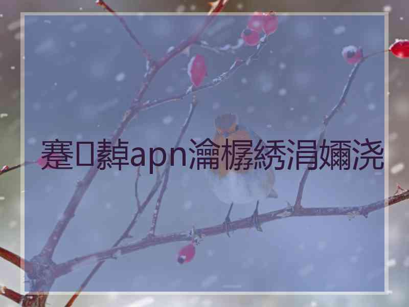 蹇繛apn瀹樼綉涓嬭浇