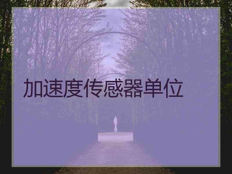 加速度传感器单位