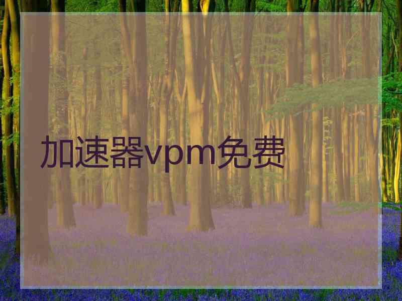加速器vpm免费