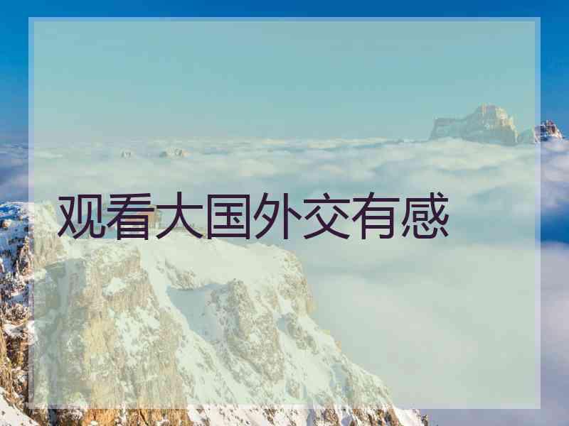 观看大国外交有感