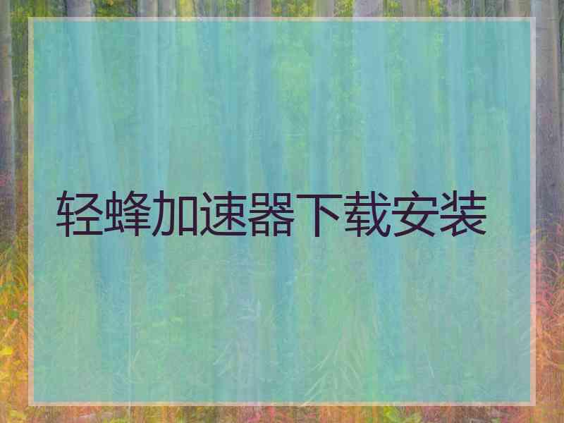 轻蜂加速器下载安装