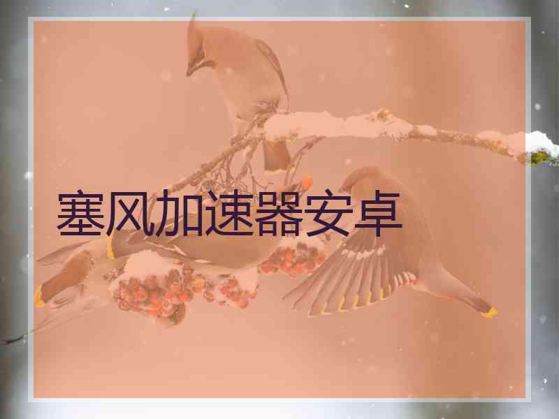 塞风加速器安卓