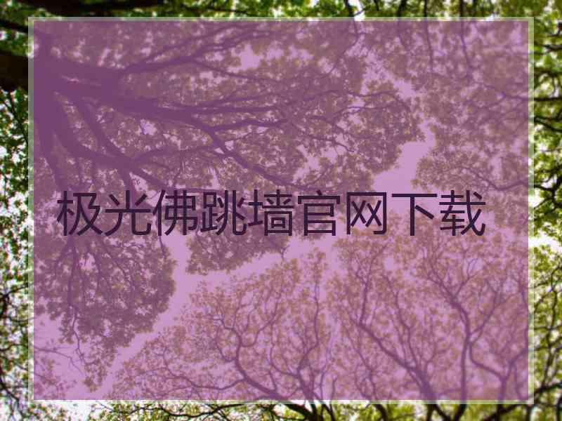 极光佛跳墙官网下载