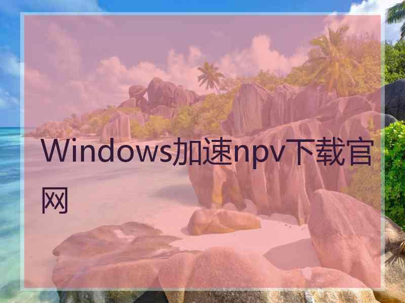 Windows加速npv下载官网