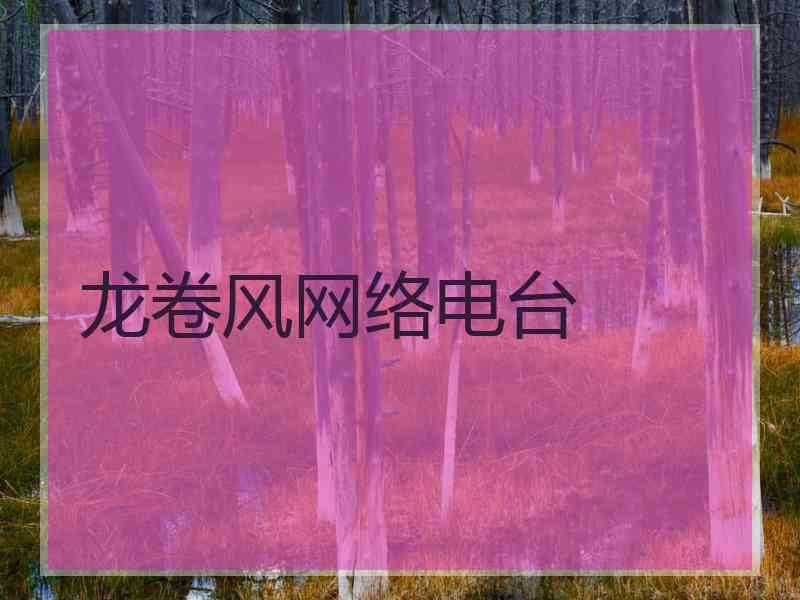 龙卷风网络电台