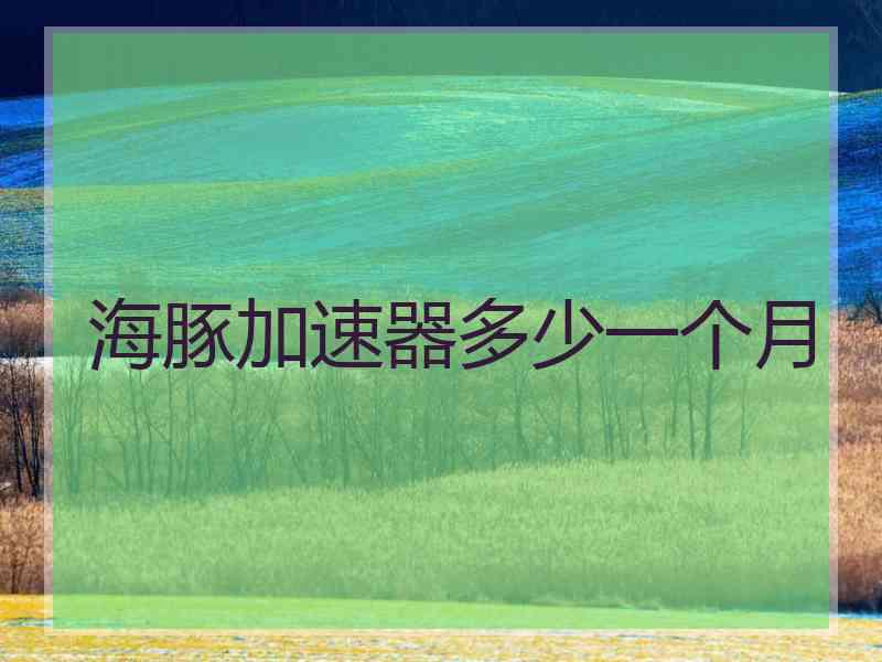 海豚加速器多少一个月