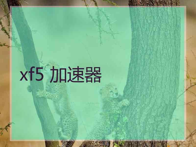 xf5 加速器