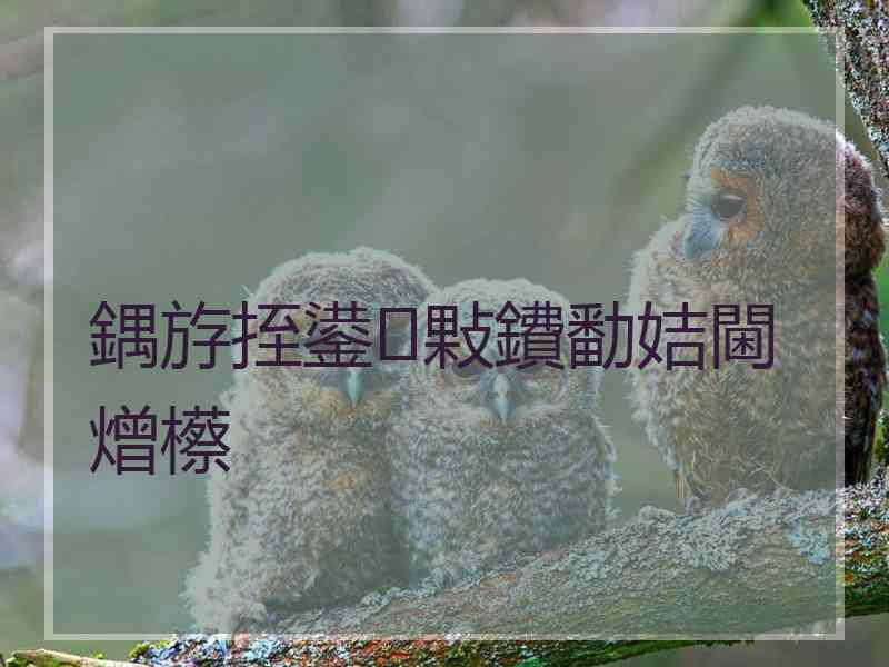 鍝斿挃鍙敤鐨勫姞閫熷櫒