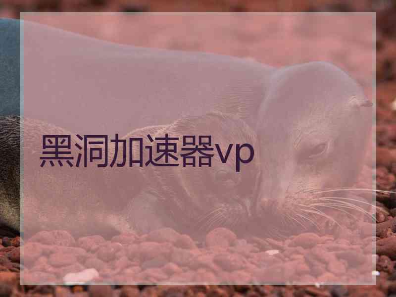 黑洞加速器vp
