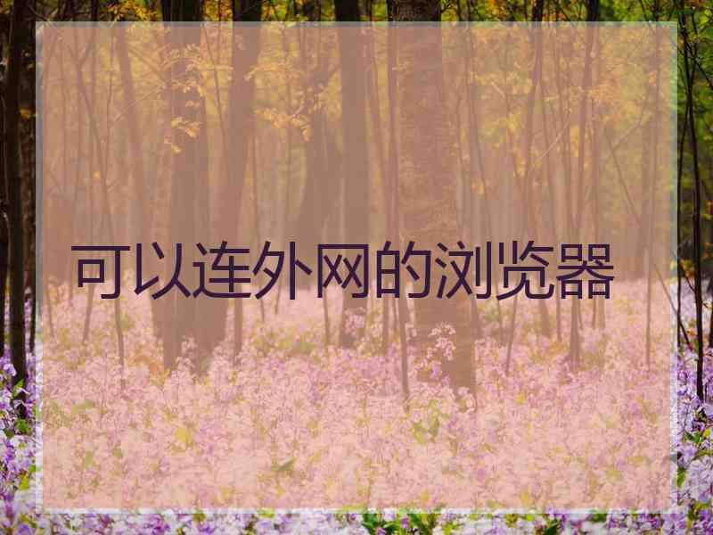 可以连外网的浏览器