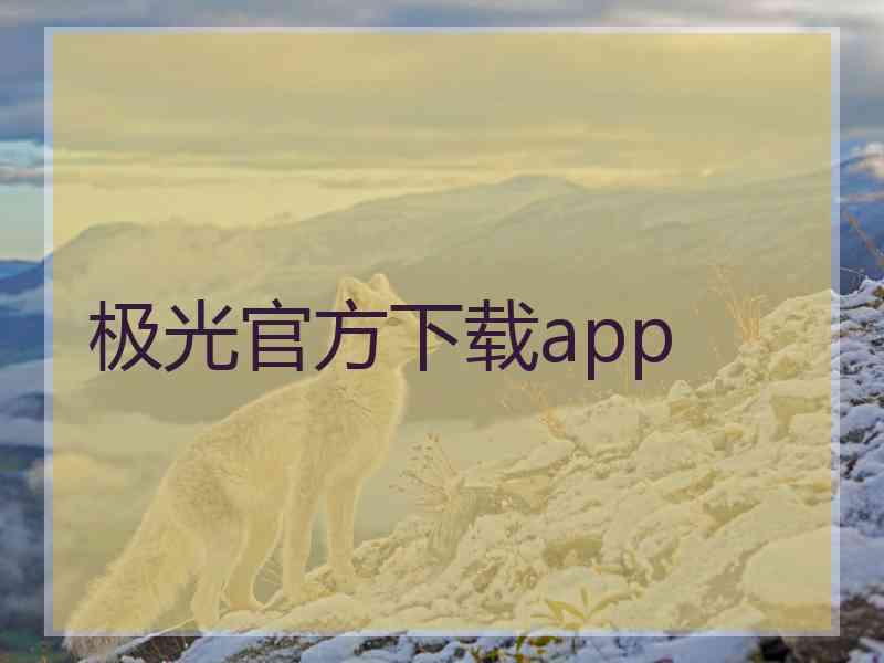 极光官方下载app