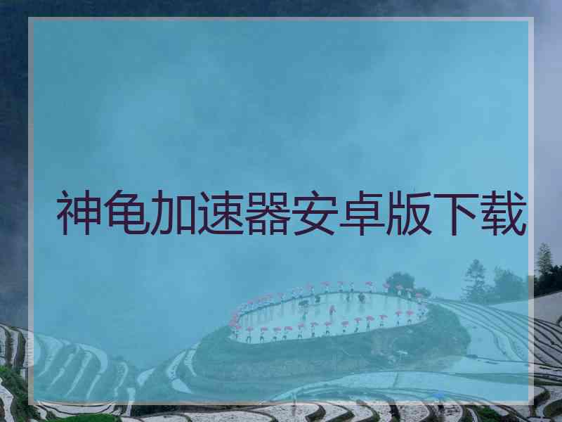 神龟加速器安卓版下载