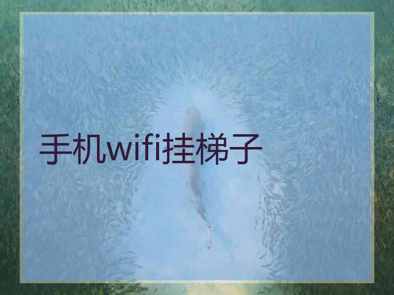 手机wifi挂梯子