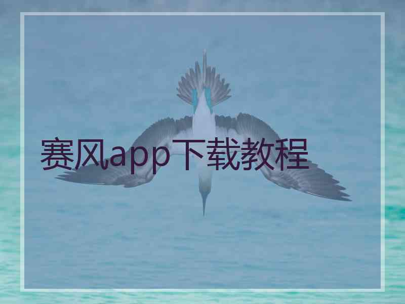 赛风app下载教程