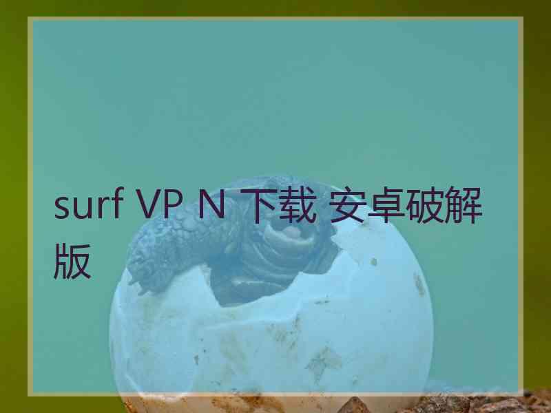 surf VP N 下载 安卓破解版
