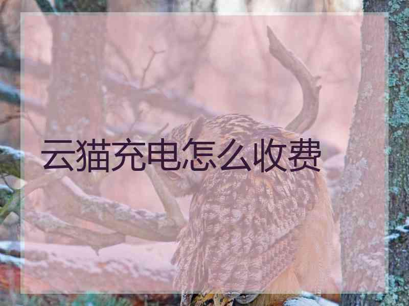 云猫充电怎么收费