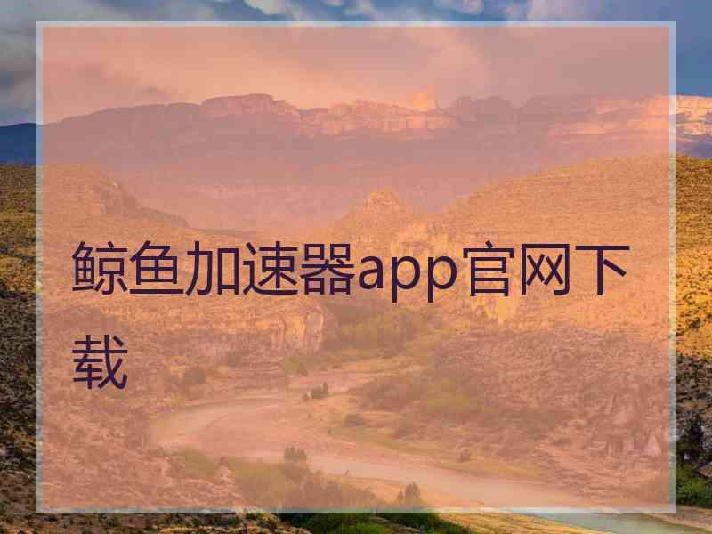 鲸鱼加速器app官网下载