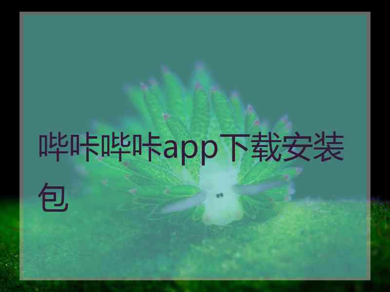 哔咔哔咔app下载安装包