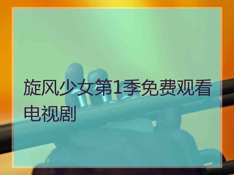 旋风少女第1季免费观看电视剧