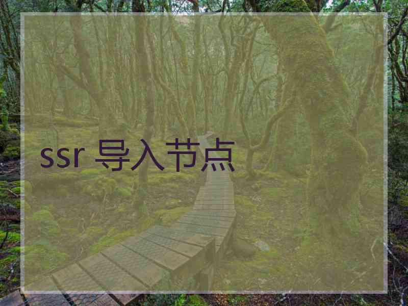 ssr 导入节点