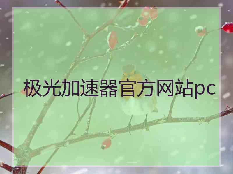极光加速器官方网站pc