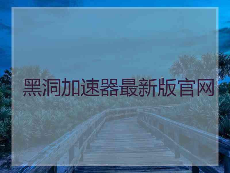 黑洞加速器最新版官网