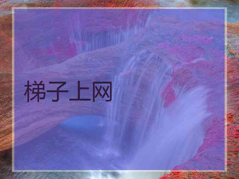 梯子上网