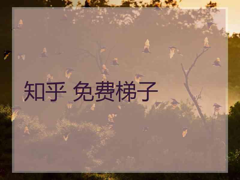 知乎 免费梯子
