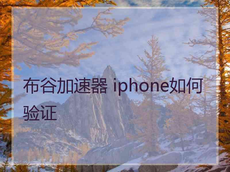 布谷加速器 iphone如何验证
