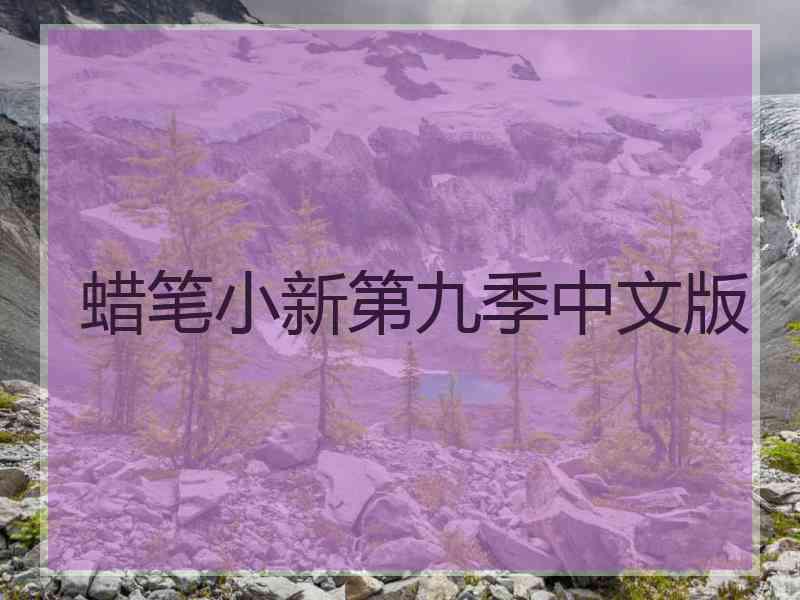 蜡笔小新第九季中文版