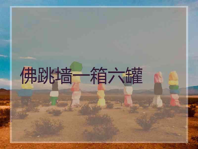 佛跳墙一箱六罐