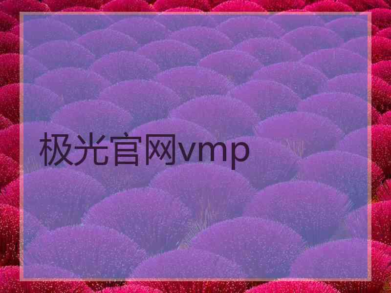 极光官网vmp