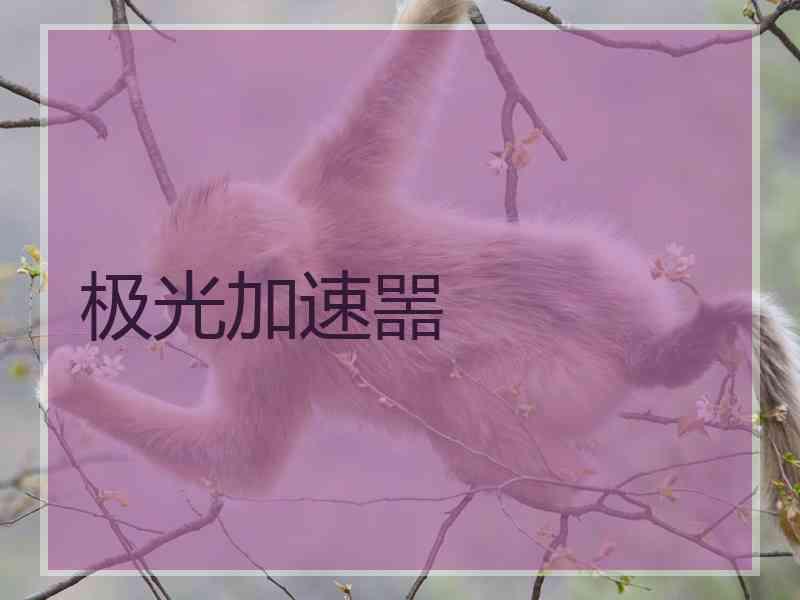 极光加速噐