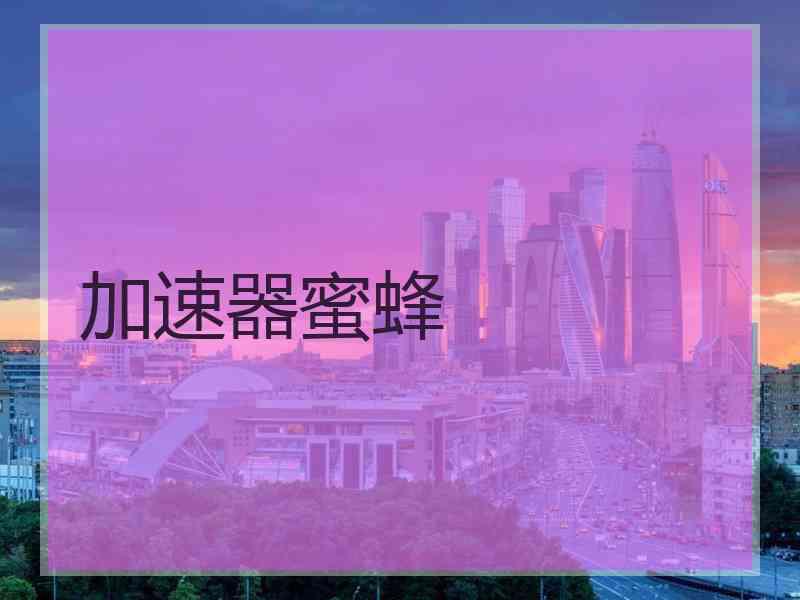 加速器蜜蜂