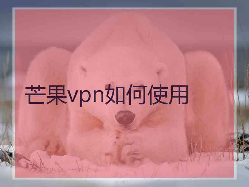 芒果vpn如何使用