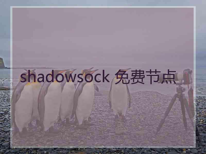 shadowsock 免费节点