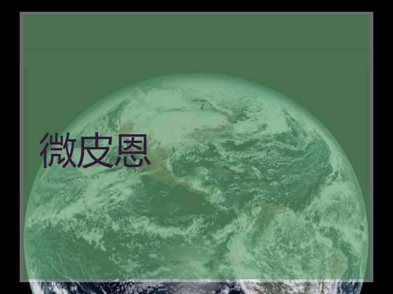 微皮恩