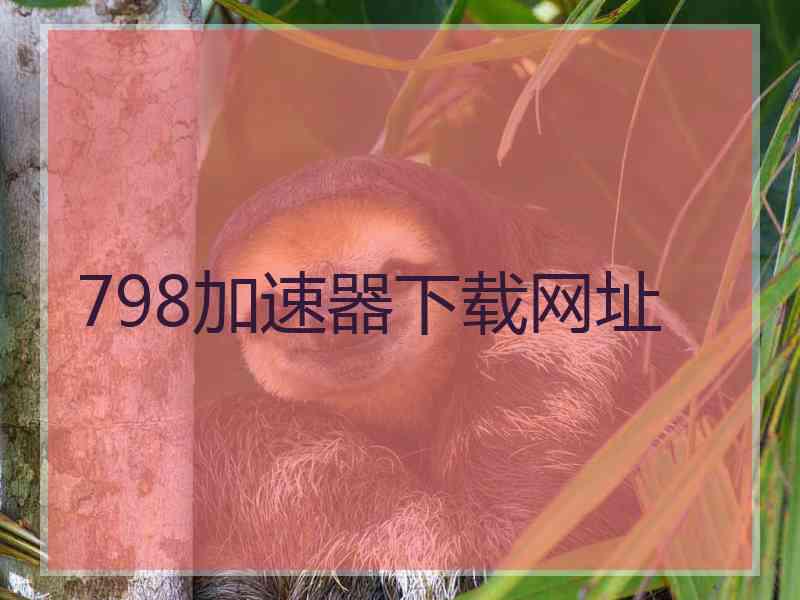 798加速器下载网址