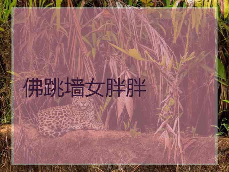 佛跳墙女胖胖