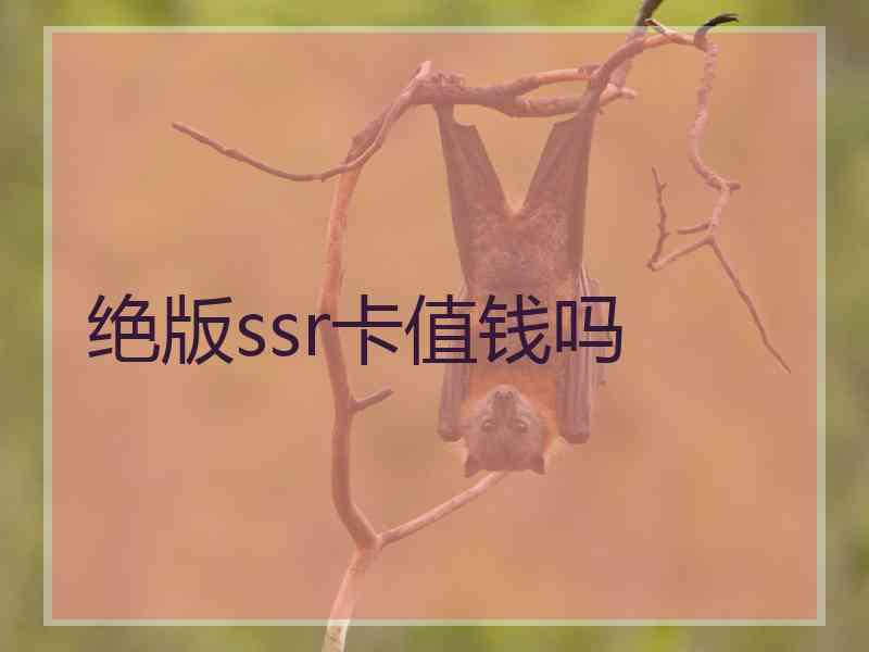 绝版ssr卡值钱吗