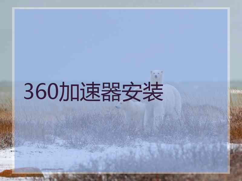 360加速器安装