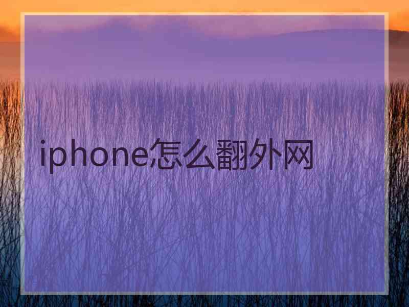 iphone怎么翻外网