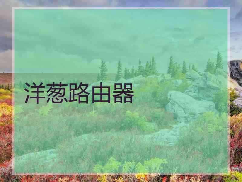 洋葱路由器