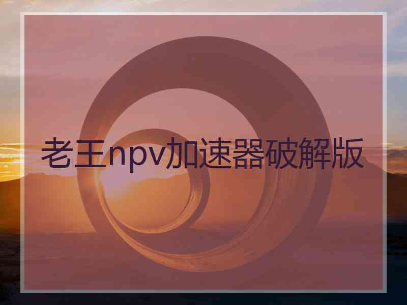 老王npv加速器破解版