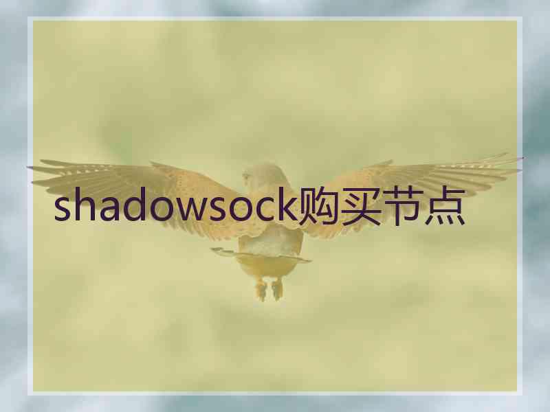 shadowsock购买节点