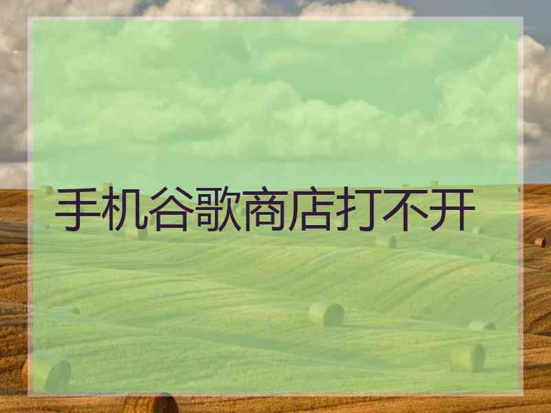 手机谷歌商店打不开