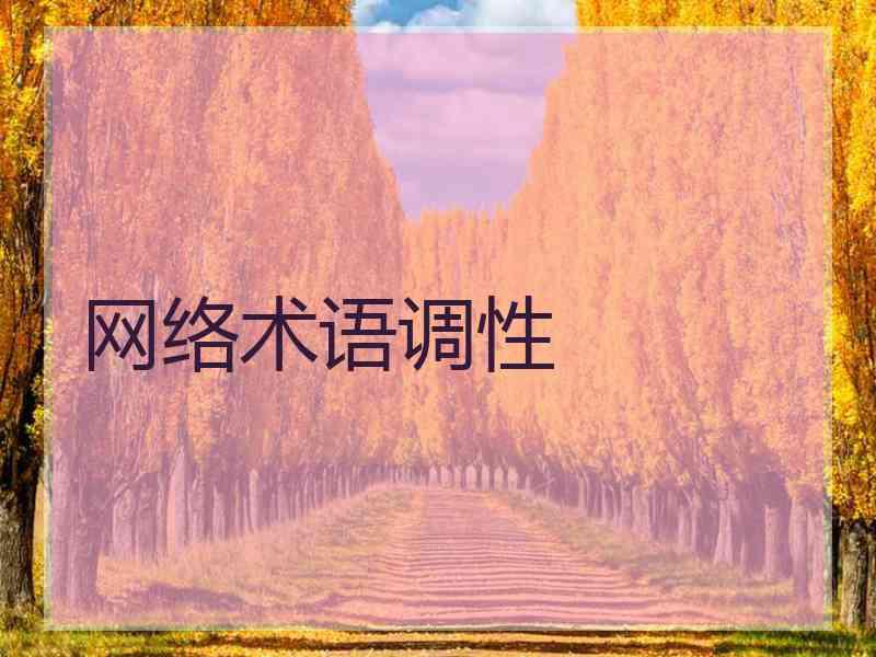 网络术语调性
