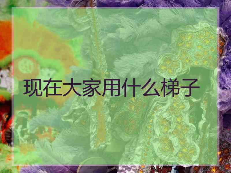 现在大家用什么梯子